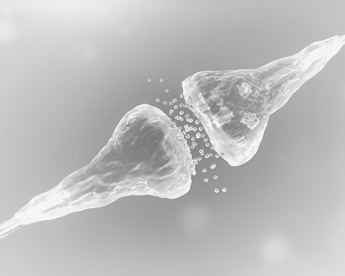 Illustration of a synapse between two nerve cells